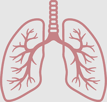 Respiratory Problems